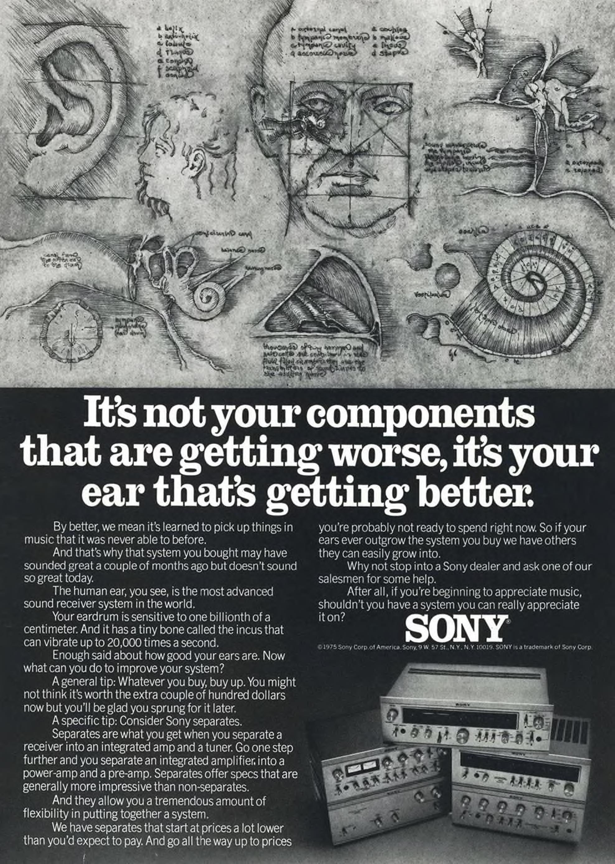 Sony 1975 3.jpg